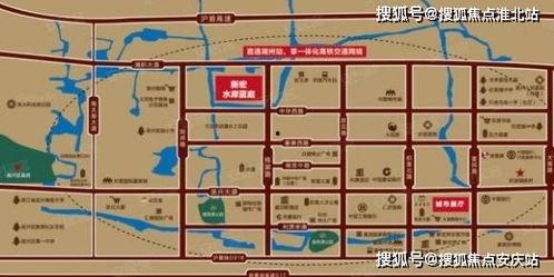 冠军套最新爆料图片及价格,惊艳设计与亲民价格，引领潮流新风尚！