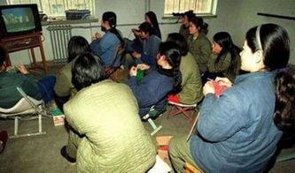 中国监狱爆料最新消息,揭秘狱中真实状况与改革动态