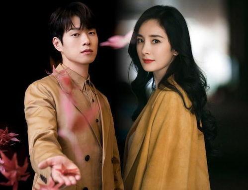 魏大勋杨幂最新爆料,揭秘幕后故事与情感纠葛